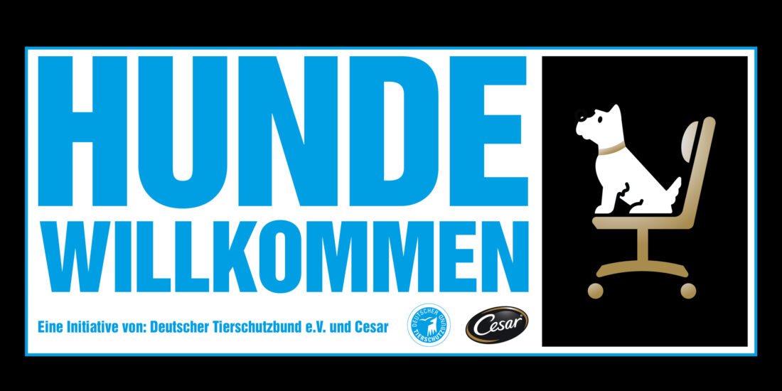 Hund