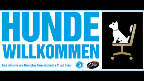 Hund