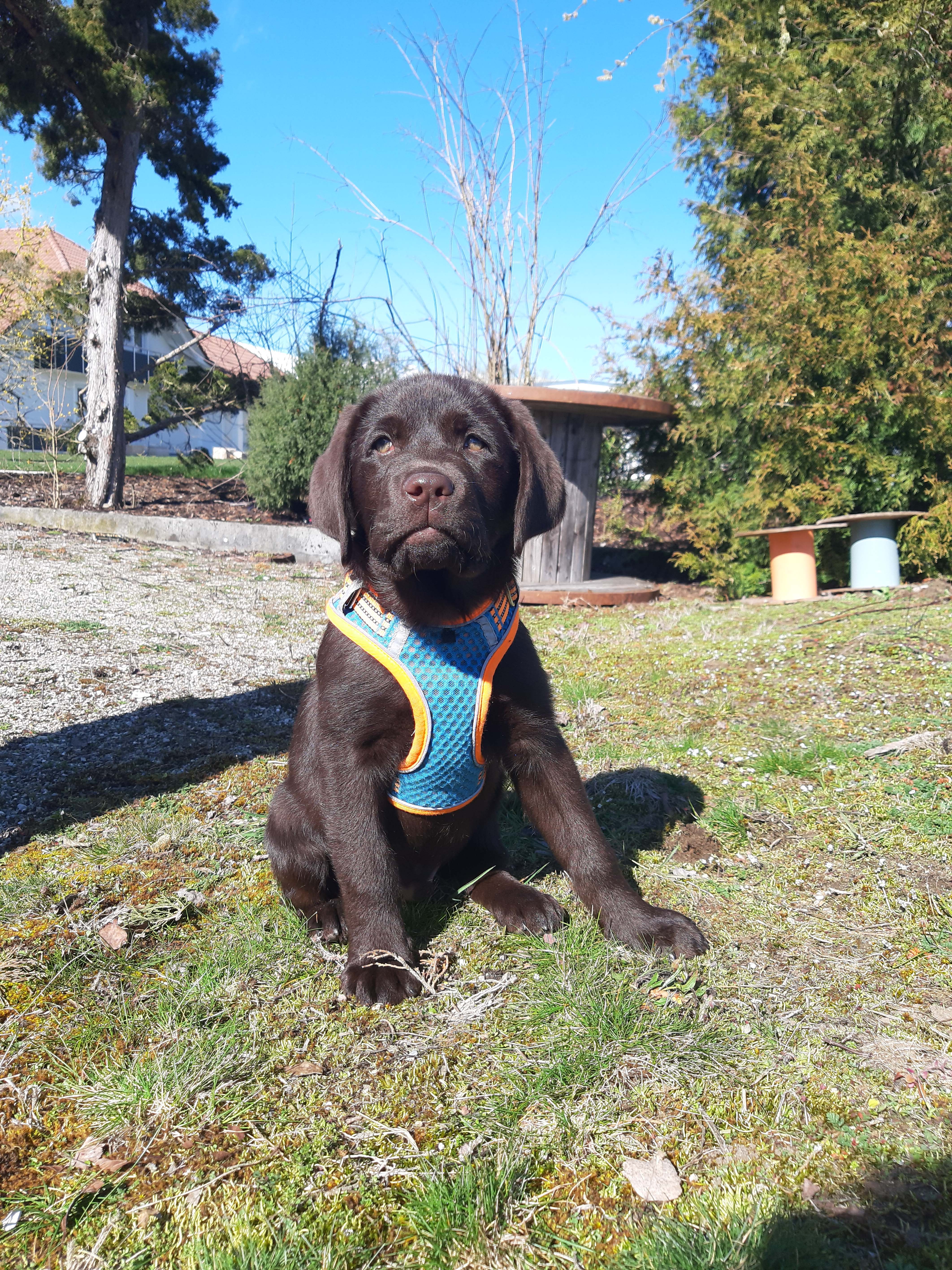 Bilbo Blog