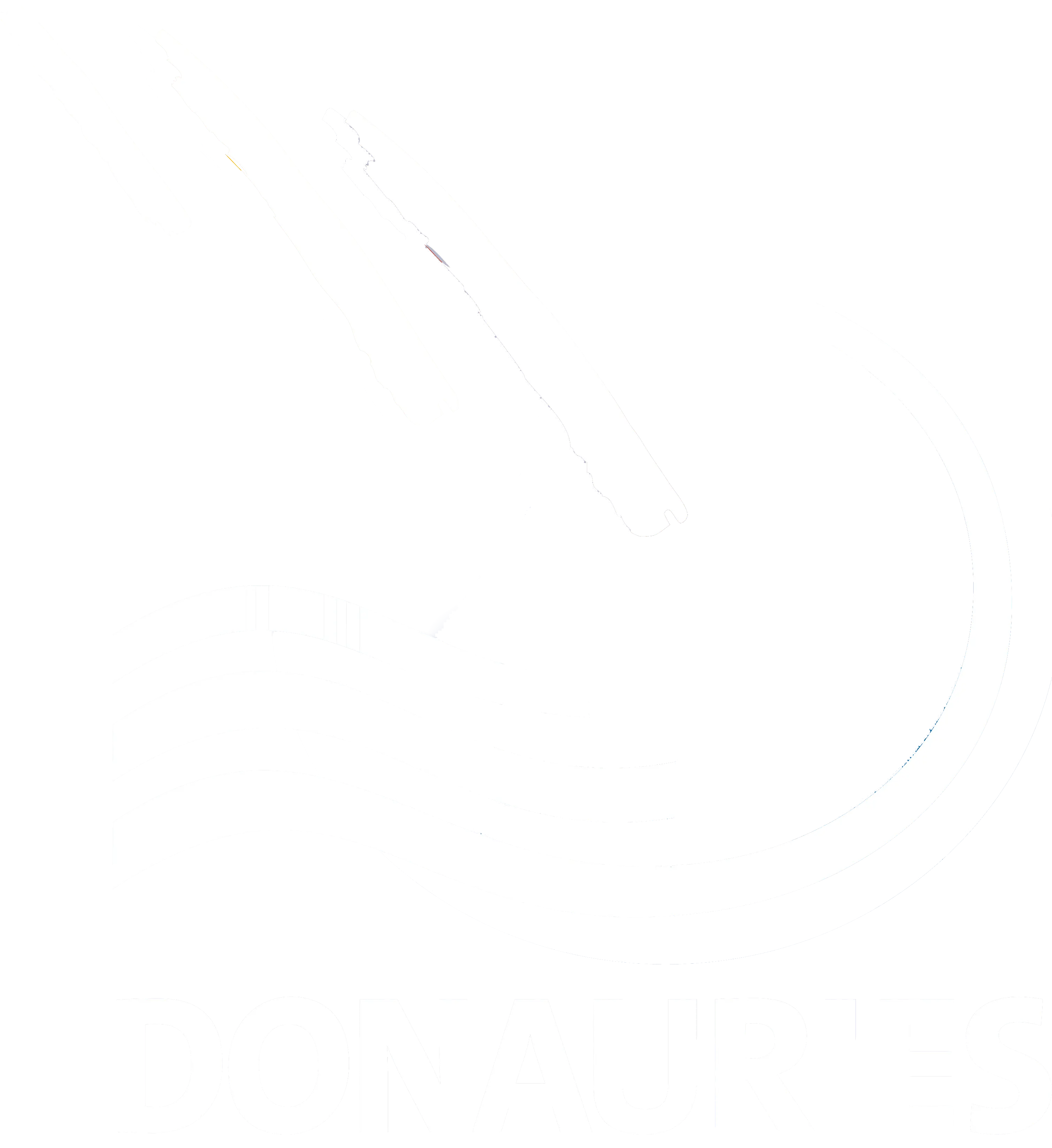 Kundenlogo Donau Ries Weiss