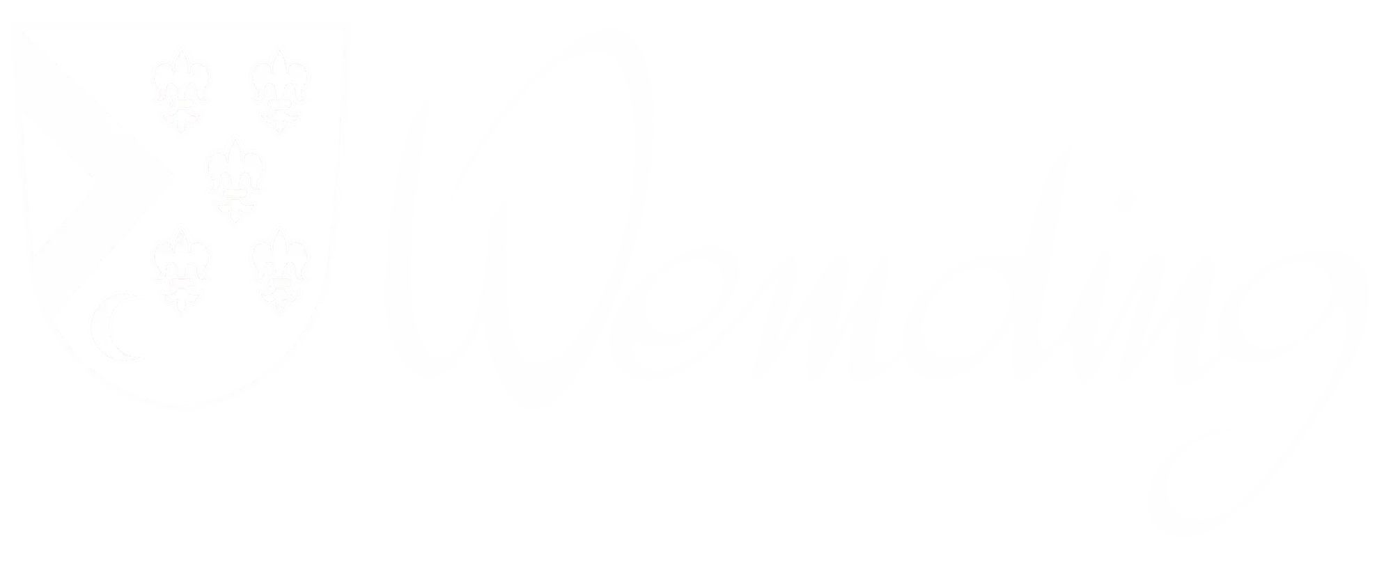 Kundenlogo Stadt Wemding Weiss